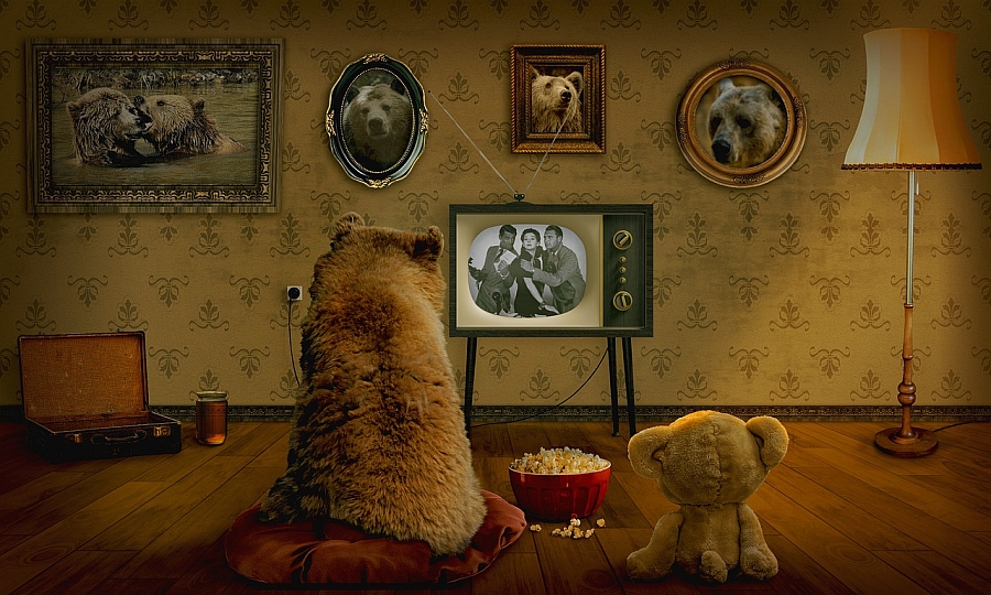 Karu vaatab telekat. (CC) Pixabay