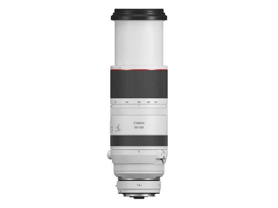 Canon RF 100-500mm F4.5-7.1L IS USM 300mm with Canon EXTENDER RF 1.4x