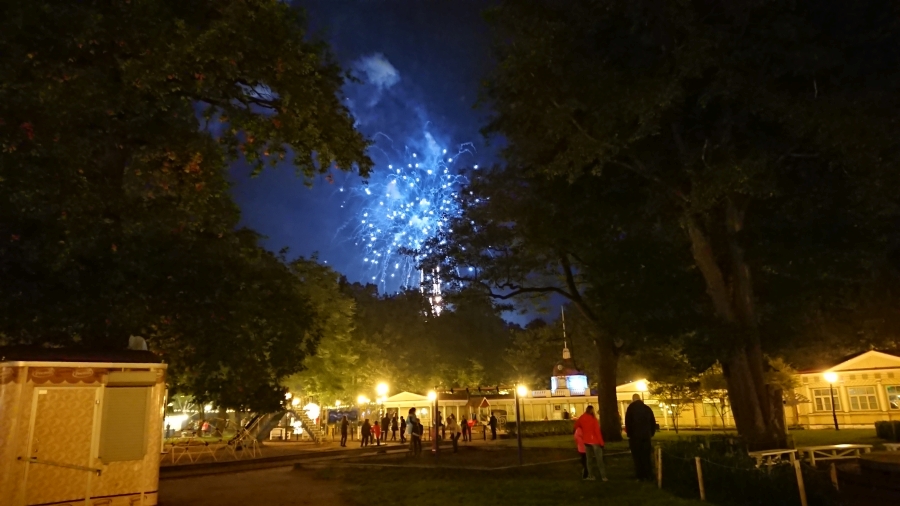 Valgus Kõnnib Kadriorus 2017.