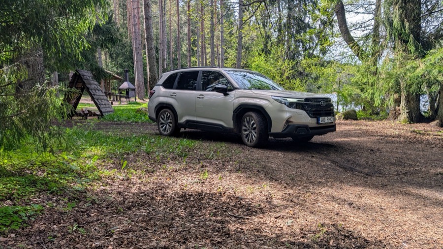 Subaru Forester 2024 maastikul