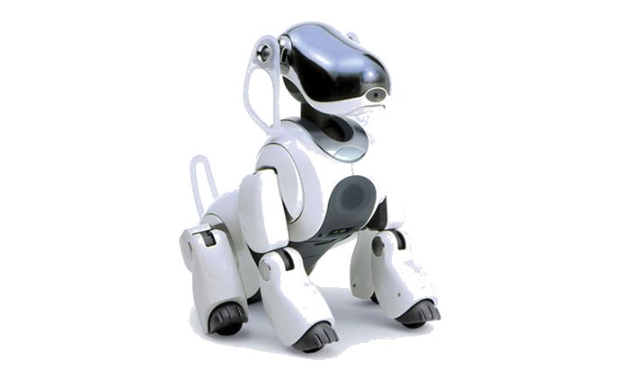 Aibo.