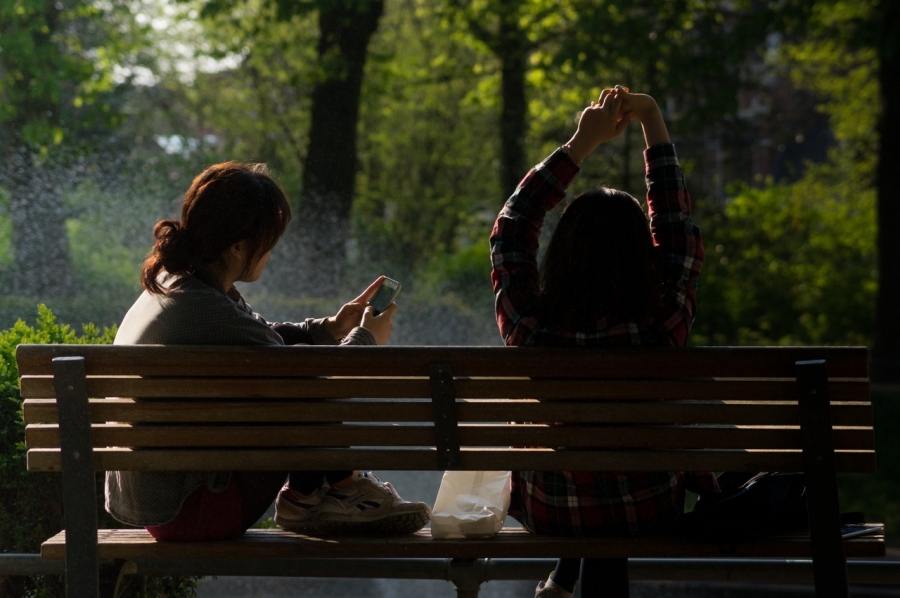 Päike, loodus ja 4G andmeside. Foto: (CC) Skitterphoto