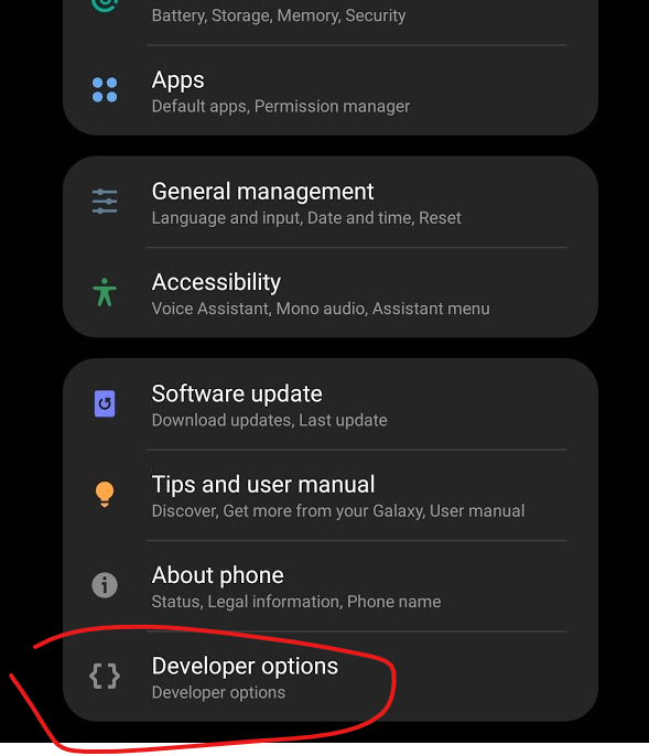 Developer mode