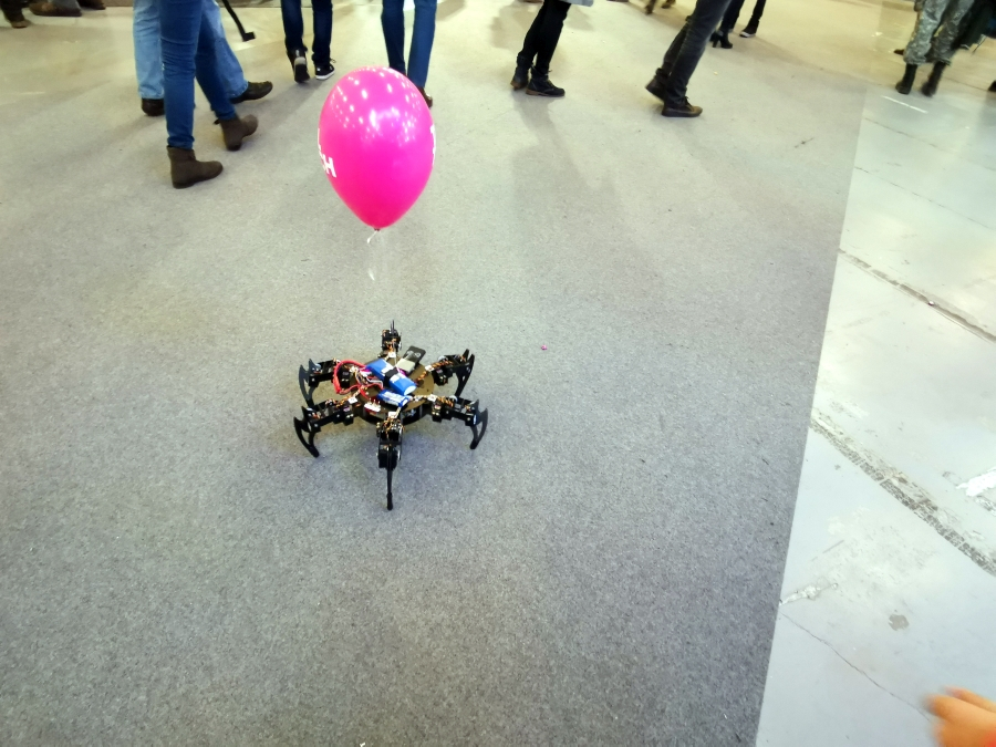 Taltechi robotämblik.