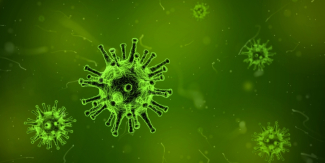 Viirus, mille vastu saab peagi hakata "eluprinter" antiviirusi välja trükkima. Foto: (CC) Pixabay