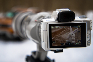 Canon M50 Canon M50
