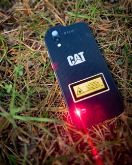 Cat S61