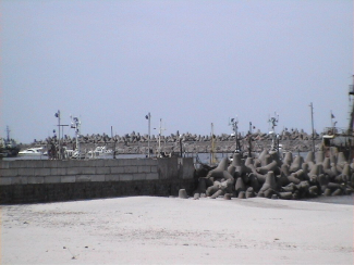 Pionerski rand Kaliningradi oblastis. Foto: (CC) Popadin Aleksandr, Wikimedia Commons