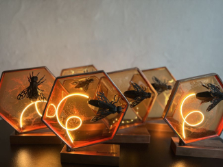 Startup auhinnad. Foto: Enriko Pedaksalu