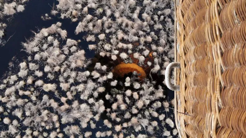 Huawei P30 Pro pilt õhupalli pealt.