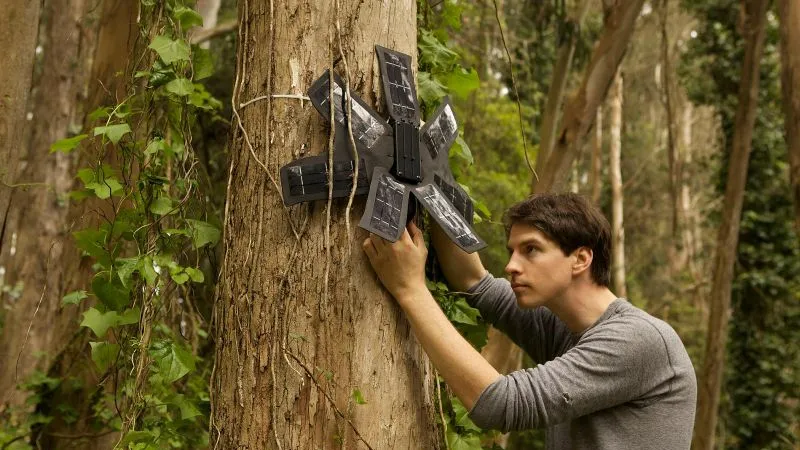 Topher White paigaldamas Guardiani eukalüptipuule. Foto: Rainforest Connection