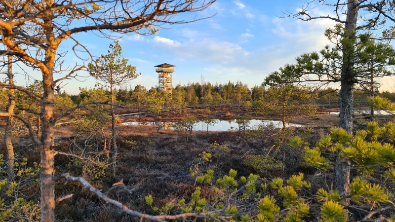 Foto: Kaupo Kalda
