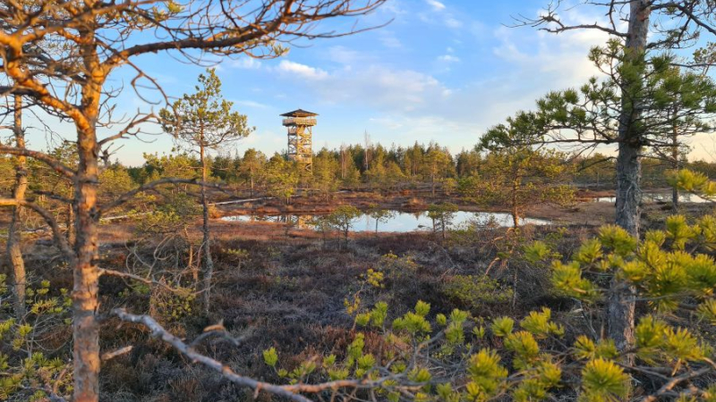 Foto: (C) Kaupo Kalda