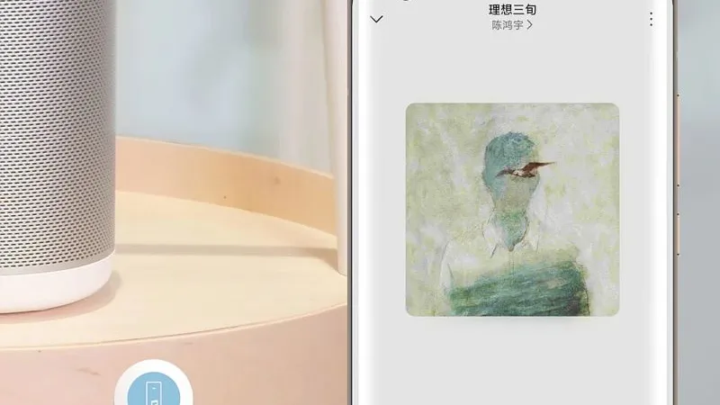 Xiaomi NFC kleepsud.