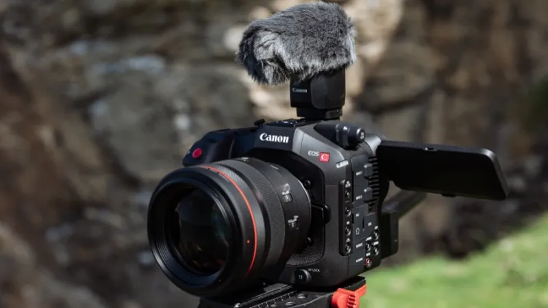 canon EOS C80