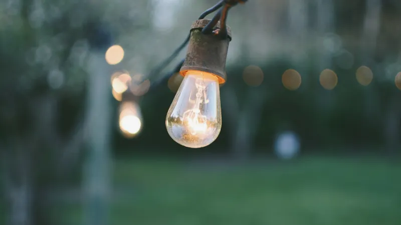 Foto: Pexels, Pixabay