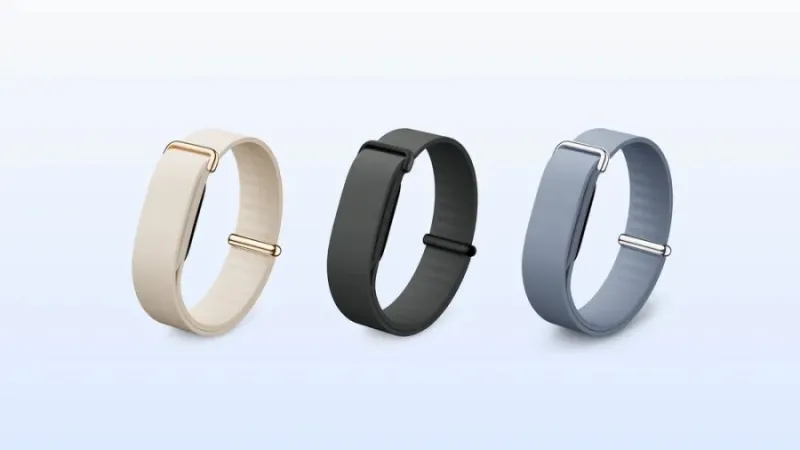 Google Fitbit Air