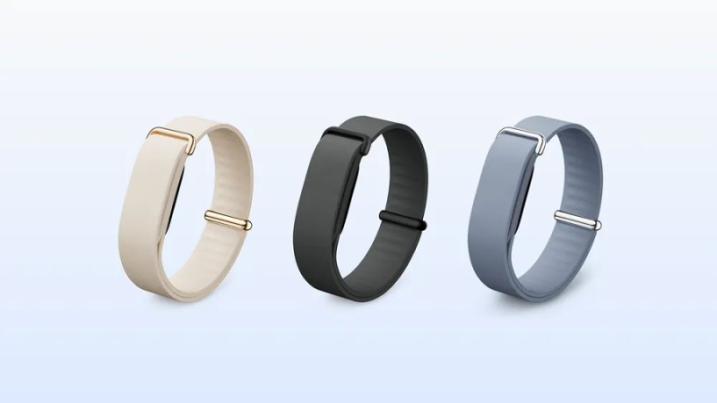 Google Fitbit Air