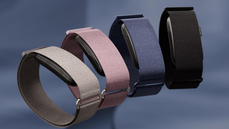 Garmin Cirqa